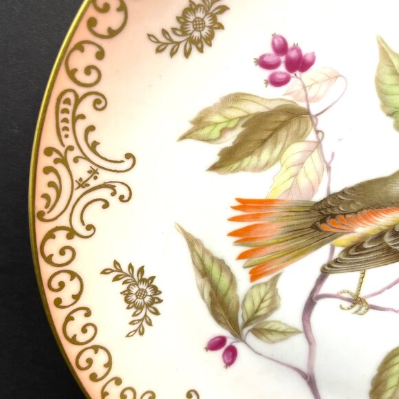 Set 2 Mitterteich Bavaria Germany 7.5" Decorative Bird Plates with Gold Accents - Picture 6 of 12